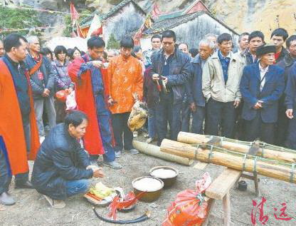 豎起刀桿之前,用活雞鴨來(lái)祭祀祈求平安。