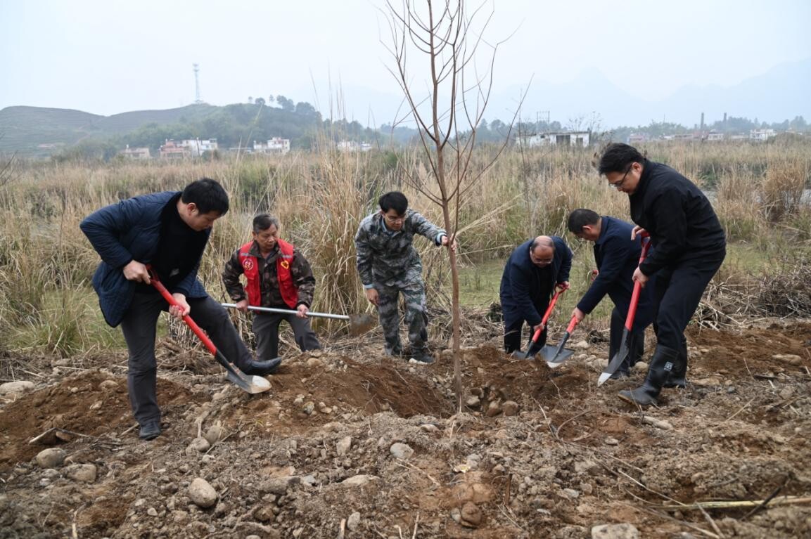 兵“林”城下 退役軍人走在綠美清遠(yuǎn)生態(tài)建設(shè)“第一方陣”，萬株新苗筑牢粵北生態(tài)屏障